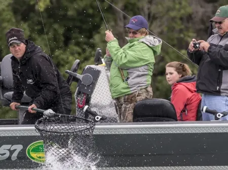 Kenai River Silver Salmon In The Net 800×600 1