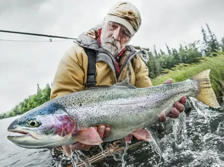 Kenai River Rainbow Trout 800×600