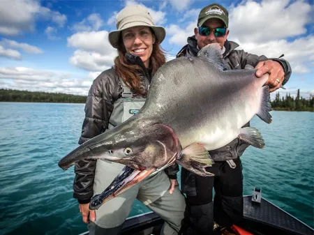 Pink Salmon Fishing Alaska 800×600