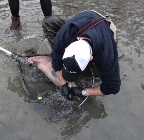Alaska Fishing Report: June 3, 2013