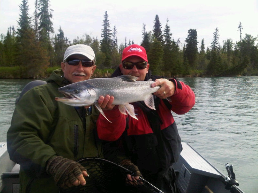 Alaska Dolly Varden Char