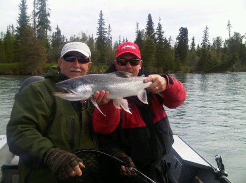 Alaska Dolly Varden Char
