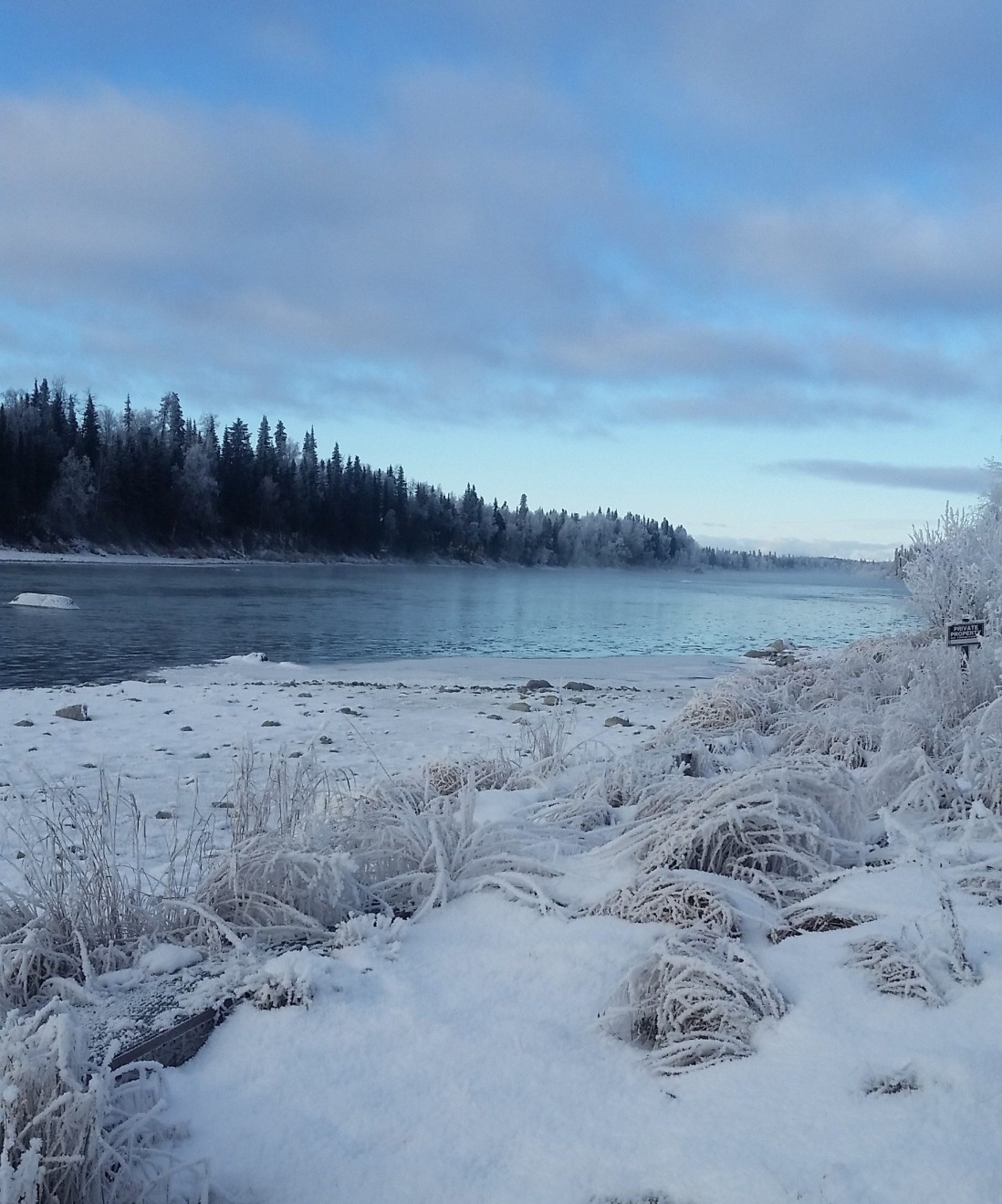 Frosty Alaska landscape