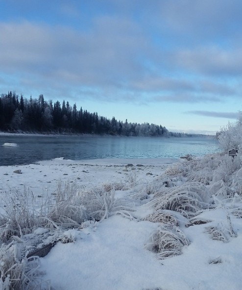 Frosty Alaska landscape