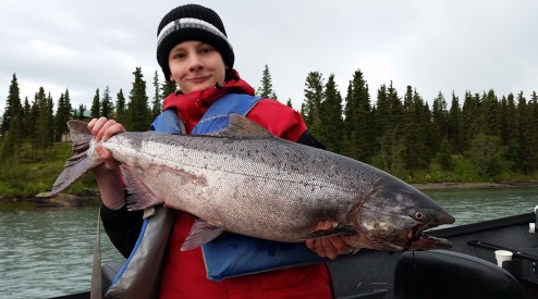 Early Run Kasilof King fishing on fire.