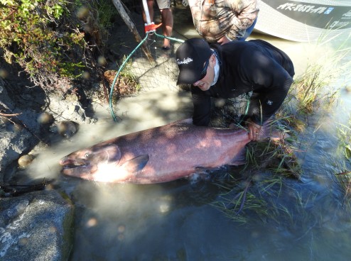 Alaska Fishing Report: July 25, 2016