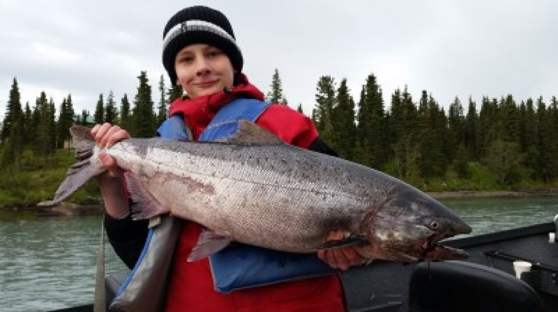 Early Run Kasilof Kings