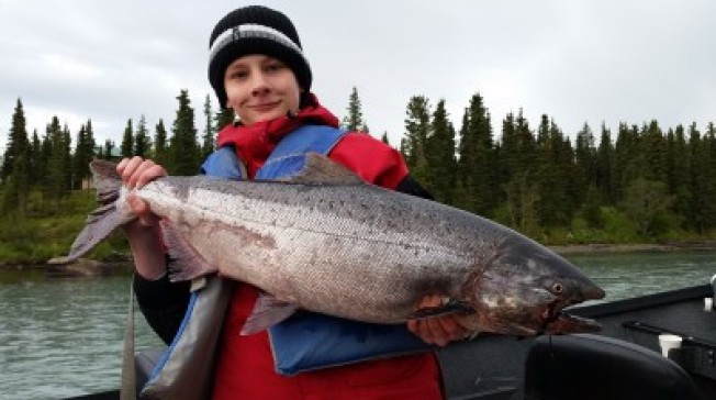 Early Run Kasilof Kings