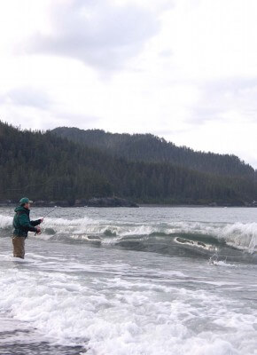 surf fishing for silvers